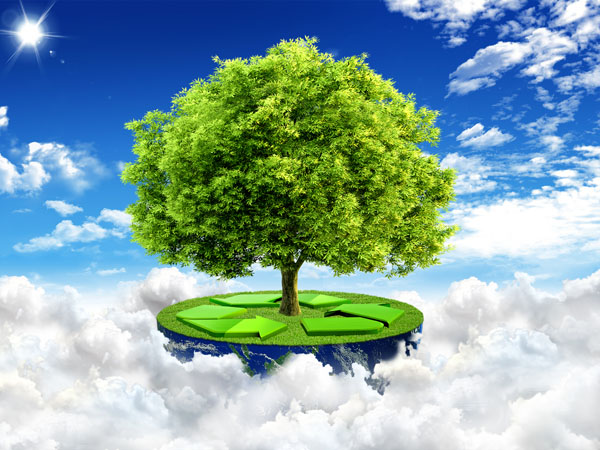 Green tree & nature