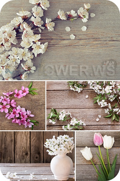 Весенние цветы на деревянном фоне