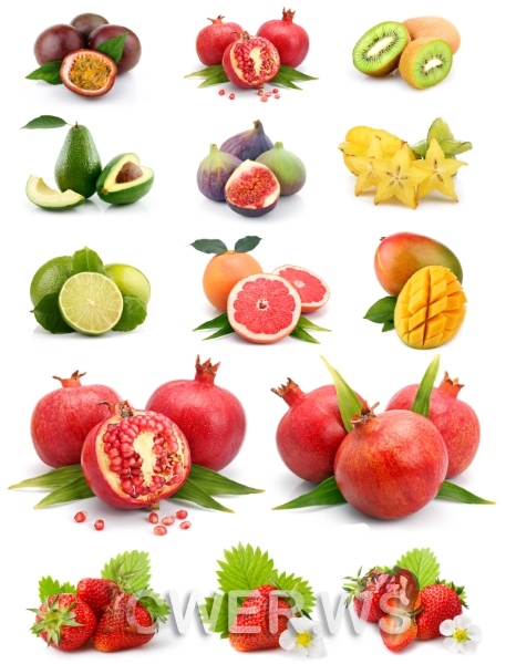 Коллекция фруктов