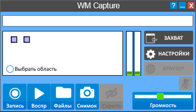 WM Capture 8