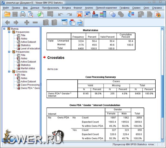 IBM SPSS Statistics 20