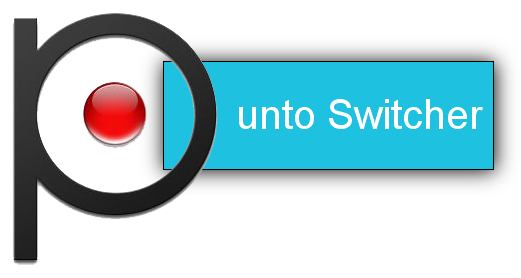 Punto Switcher