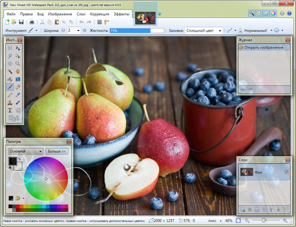 Paint.NET 4.0.5