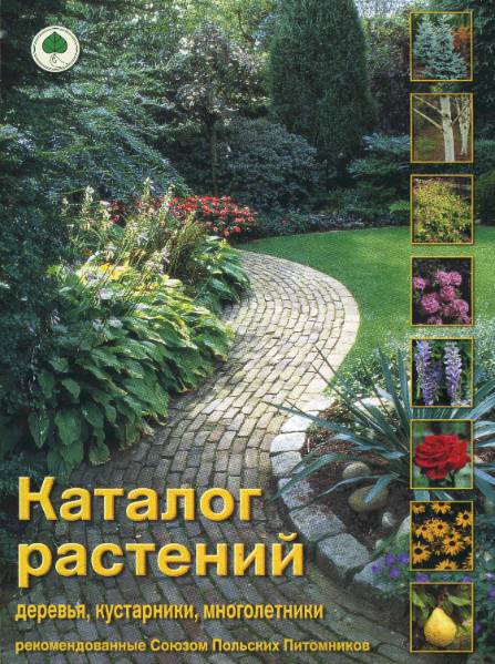 Каталог растений. Деревья, кустарники, многолетники